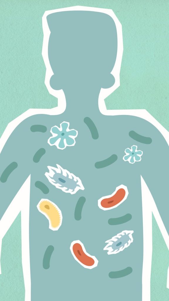 Illustration depicting microbiome within a human silhouette on a textured background.